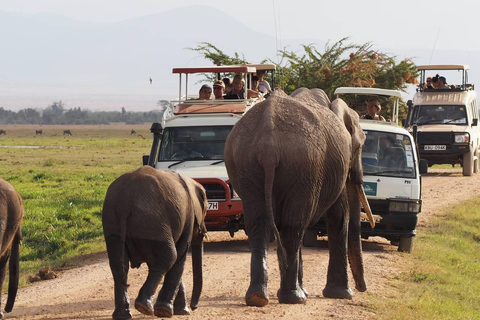 Budget 4-Day Masai Mara and Lake Nakuru 4x4 Jeep Safari