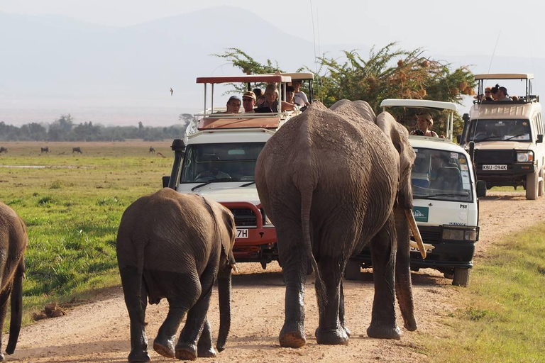 Budget 4-Day Masai Mara and Lake Nakuru 4x4 Jeep Safari