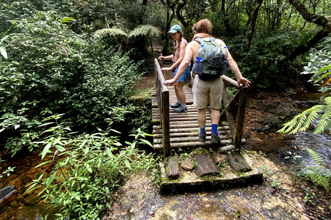 Tedo 7 Waterfalls Peak Adventure – Knuckles Mountain Range