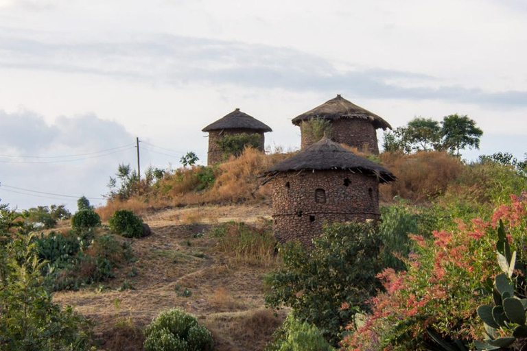 Lalibela: 5-dniowa eksploracja kościołów wykutych w skale