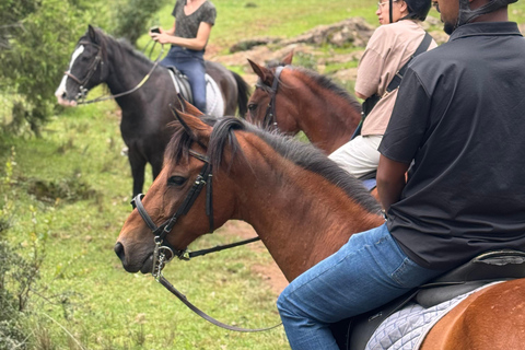 Addis Ababa: Mount Entoto Hike, Injera & Hyena Experience