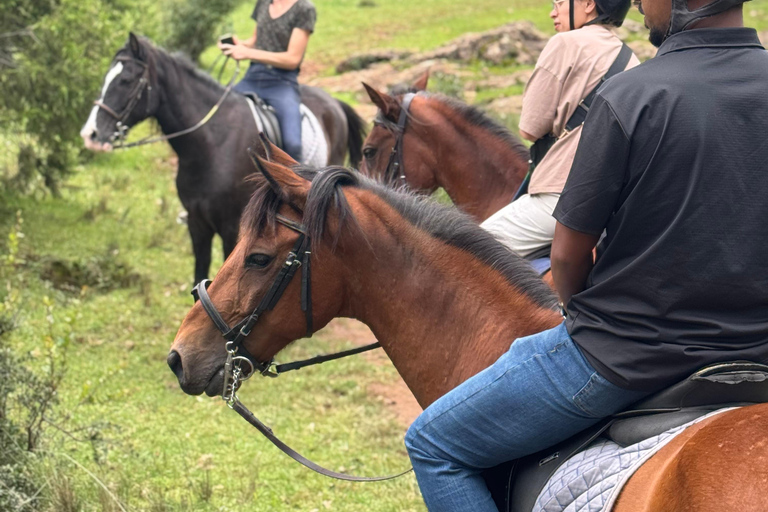 Addis Ababa: Mount Entoto Hike, Injera & Hyena Experience
