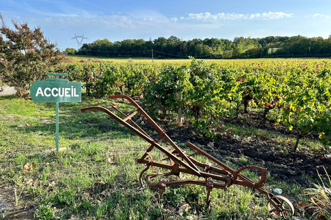 Bordeaux : Nel cuore di un vigneto biologico a conduzione familiare