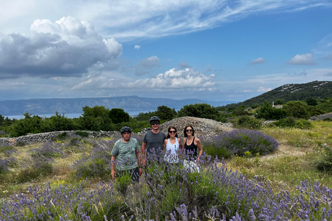 Hvar Island E-Bike Tour with Wine Tasting and Starters Hvar: Self-Guided Bike Tour with Wine Tasting and Starters