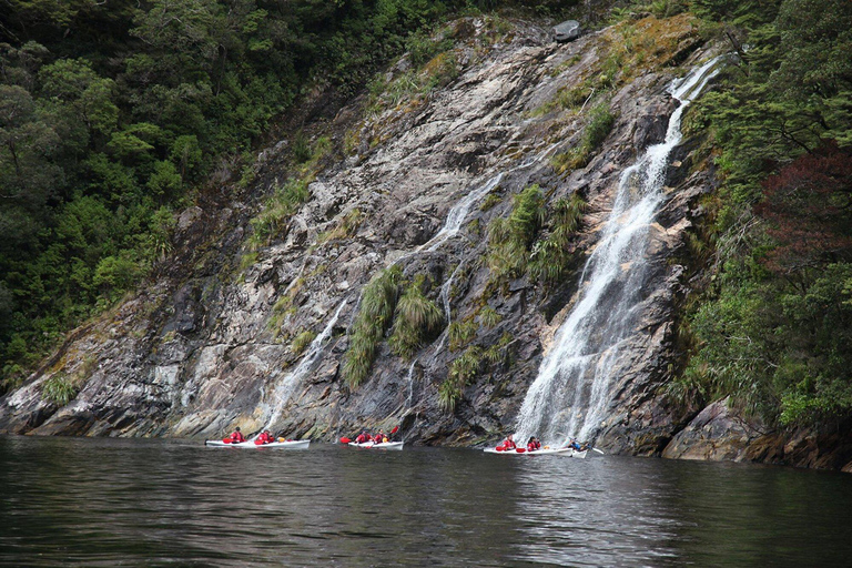 Te Anau: Lake Manapouri Kayak Tour with Water Taxi