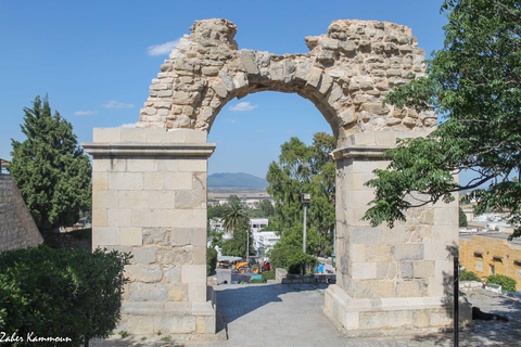 Berber Tour:Oudhna, Zaghouan en Zriba vanuit hotel of bootcruise