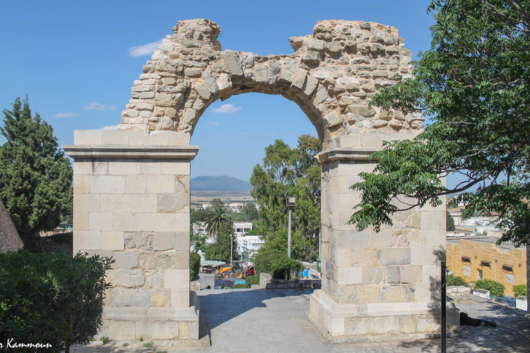 Berber Tour:Oudhna, Zaghouan en Zriba vanuit hotel of bootcruise