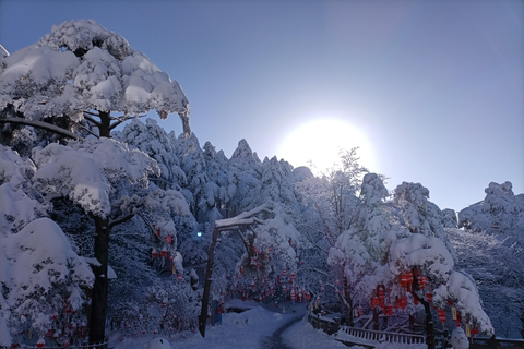 Huangshan: Mountain Top Day Trip with Cable Car and Pickup