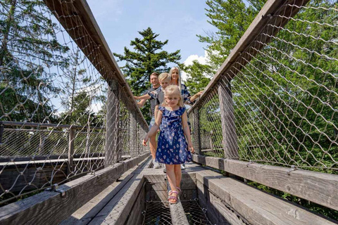 Bavarian Forest: Treetop Walk & Egg Tower Experience