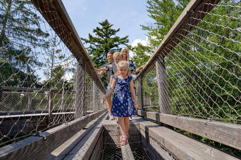 Bavarian Forest: Treetop Walk & Egg Tower Experience