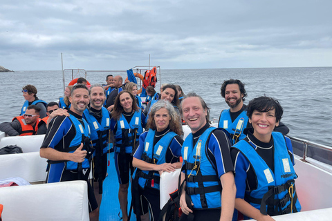 Isole Palomino: tour in motoscafo e bagno con i leoni marini