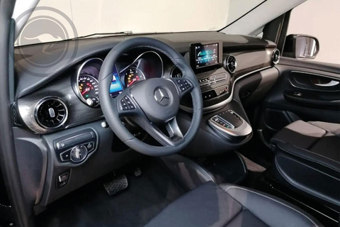 Sorrento: Horseback ride on Mount Faito with lunch Sorrento: Horseback riding excursion to Mount Faito with lunch