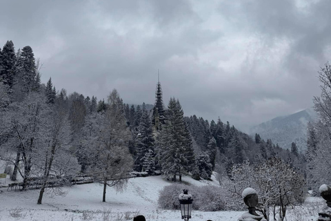 Dracula's Castle, Peles Castle and Brasov Private Day Trip Late departure, longer sleep time
