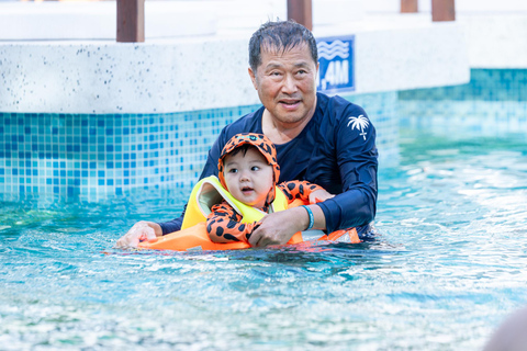 Hanoi: Dolphin 5-Star Family Cruise & Buffet in Ha Long Bay With Pick-up and Drop-off