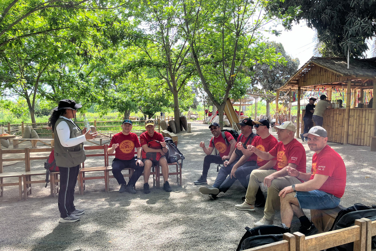 De Ica ou Huacachina: Pisco, vinho e buggy ao pôr do sol