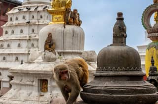 Kathmandu: Halbtägiger, geführter Chaitya-Rundgang