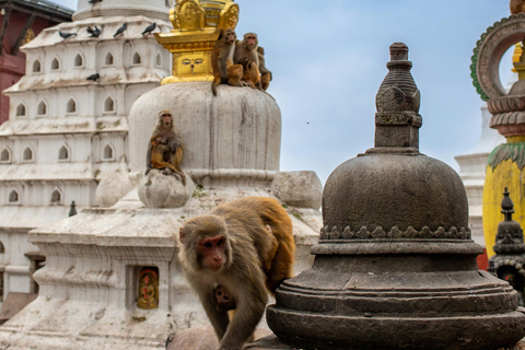 سوايامبوناث: جولة غروب الشمس وأضواء المدينةخاص