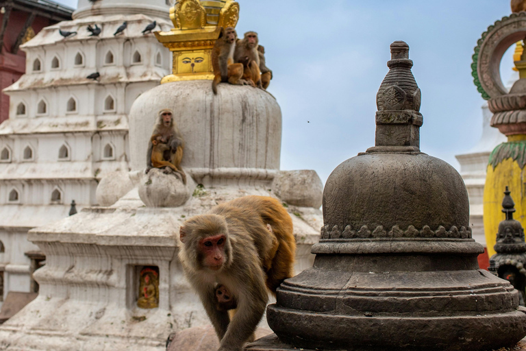 سوايامبوناث: جولة غروب الشمس وأضواء المدينةخاص