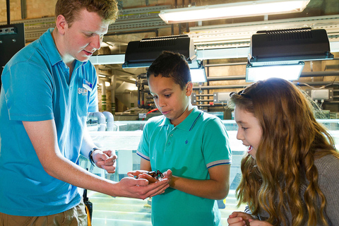 Speyer: Visita SEA LIFE entre bastidores