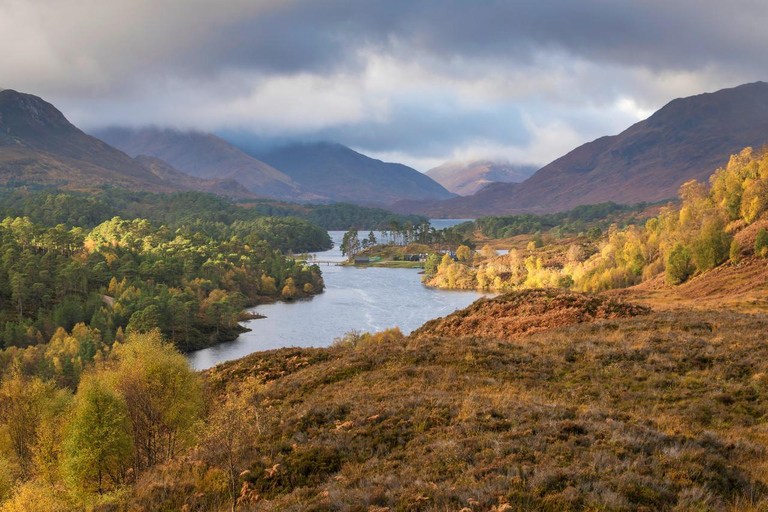 Glen Affric Guided Winter WalkGlen Affric Guided Walk