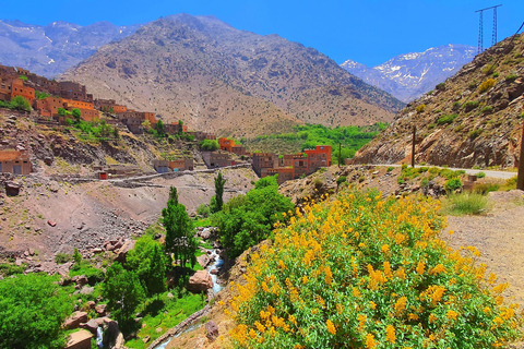 Excursión de un día para explorar el Atlas