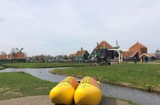 Private Tour im luxuriösen Tesla, Zaanse Schans und Käseverkostung