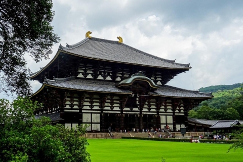 Kansai 10-godzinna czarterowa wycieczka 1-dniowa｜ miasto Nara