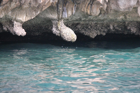 Ko Phi Phi Don : Excursion en bateau rapide avec plongée en apnée avec les requins