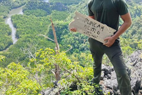 Langkawi: Kilim Geoforest Park Guided Jungle Trek
