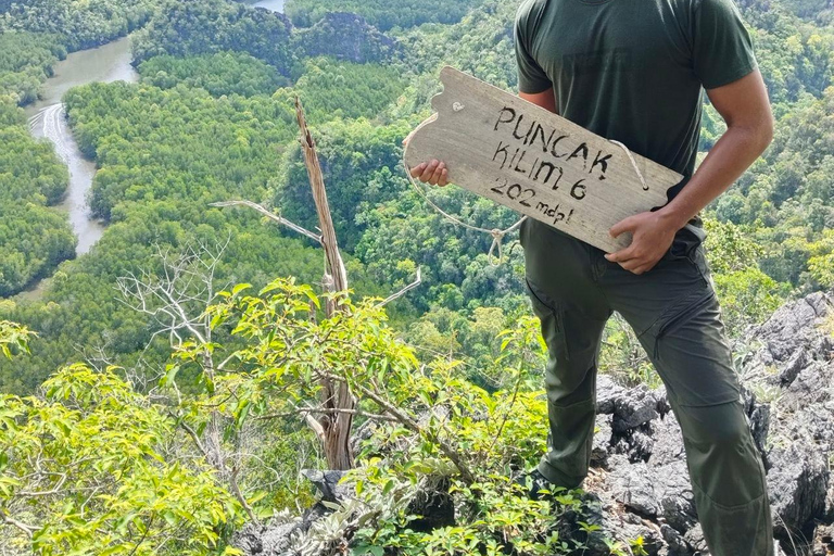 Langkawi: Kilim Geoforest Park Guided Jungle Trek