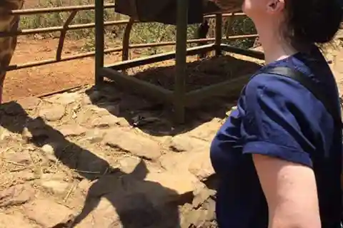 Nairobi: David Sheldrick, Giraffe Centre, and Blixen Tour