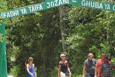 Jozani Forest & Turquoise Waters Turtle Swim at Salaam Cave TOUR WITHOUT HOTEL PICKUP AND DROP OFF
