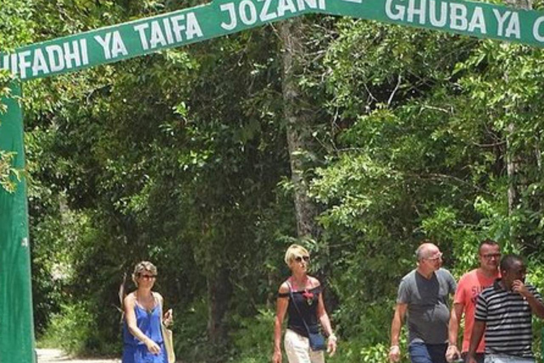 Jozani Forest & Turquoise Waters Turtle Swim at Salaam Cave TOUR WITHOUT HOTEL PICKUP AND DROP OFF