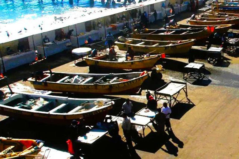 Santiago: Private Transfer To San Antonio via Valparaiso