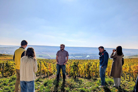 Reims: Moët & Chandon and Family-Run Winery Day Tour & Lunch Epernay: Moët & Chandon, Family-Run Winery Day Tour & Lunch