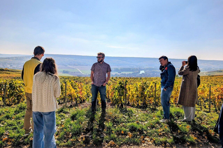 Reims: Moët & Chandon and Family-Run Winery Day Tour & Lunch Epernay: Moët & Chandon, Family-Run Winery Day Tour & Lunch