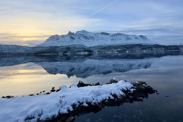 Narvik/Harstad : Excursion d&#039;une journée dans les Fjords avec arrêt à la ferme des rennes
