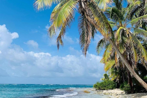 SAN ANDRES: BOAT TRANSFER + JOHNNY CAY + JOHNNY CAY SAN ANDRES: BOAT TRANSFER + JOHNNY CAY