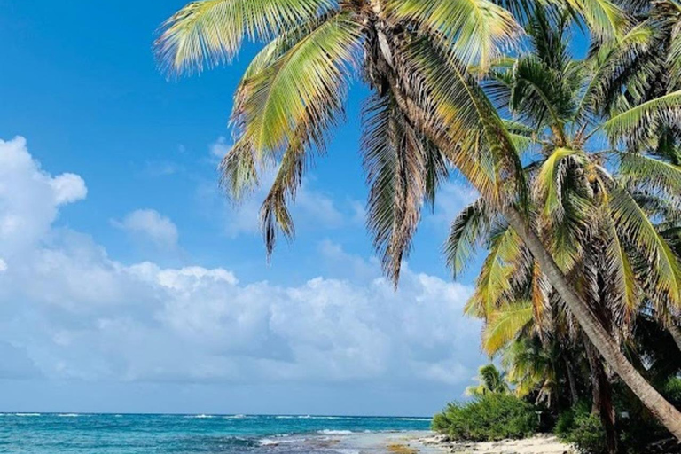 SAN ANDRES: BOAT TRANSFER + JOHNNY CAY + JOHNNY CAY SAN ANDRES: BOAT TRANSFER + JOHNNY CAY