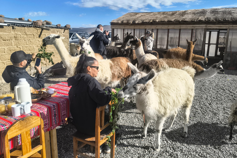 Salinas Lagoon in 4x4 Adventure & Andean Hiking