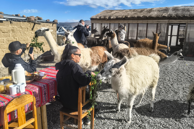 Salinas Lagoon in 4x4 Adventure & Andean Hiking