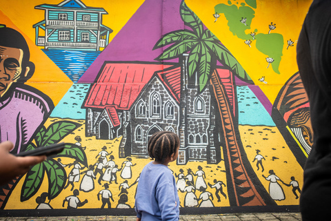 Panama City: Afro-Panamanian Heritage Walk & Museum Visit Walking Tour