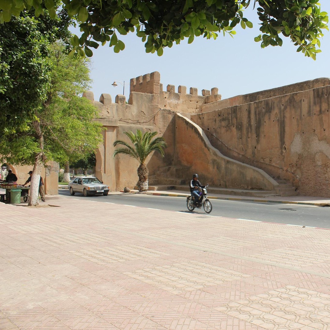 Excursion dans les oasis de Taroudant et Tiout avec déjeuner