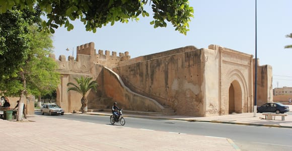 Taroudant and Tiout Oasis Trip With Lunch