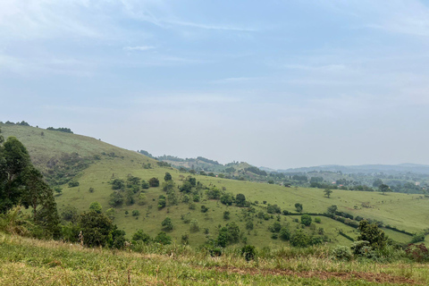 Uganda: 4-dagars safari med flygande gorillatrekkingPer person delat pris för fyra personer