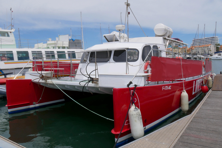 Sea Shuttle & City Tour Vilamoura ⇄ Albufeira Albufeira: Shuttle Two way Albufeira to Vilamoura with Train