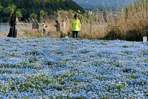 Tokyo: Private Daytrip to Mount Fuji - Fully Customizable Mt Fuji Private Luxury Van Tour (Customizable Experience)