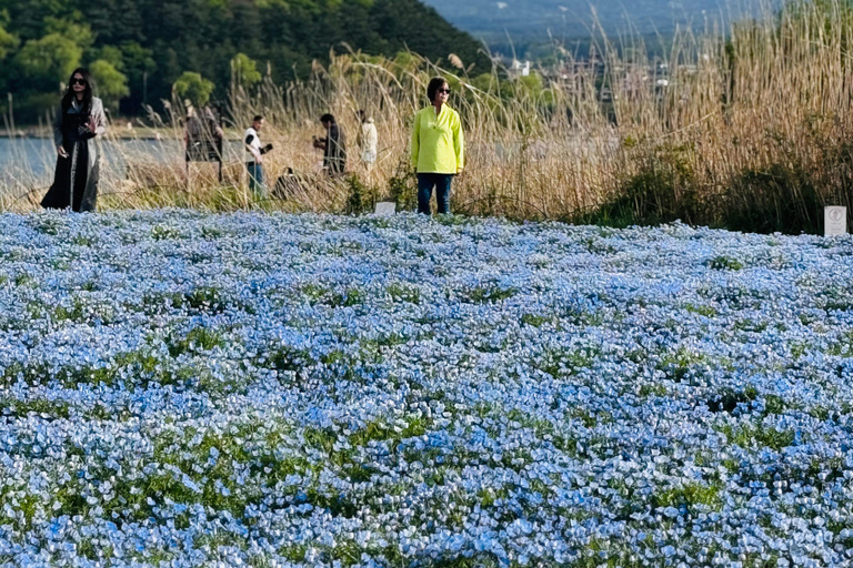 Tokyo: Private Daytrip to Mount Fuji - Fully Customizable Mt Fuji Private Luxury Van Tour (Customizable Experience)
