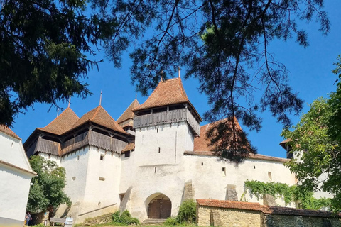 Transylvania 4-Day Tour: Castles, Bears & UNESCO
