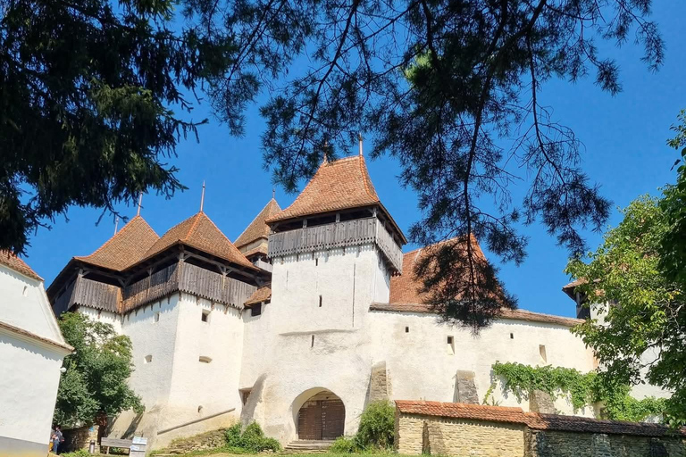 Transylvania 4-Day Tour: Castles, Bears & UNESCO
